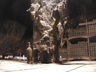 Inside Tondonia